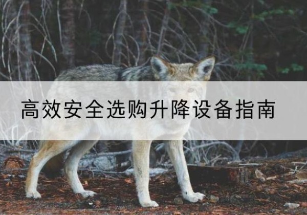 源城升降货梯厂家推荐-*安全选购升降设备指南