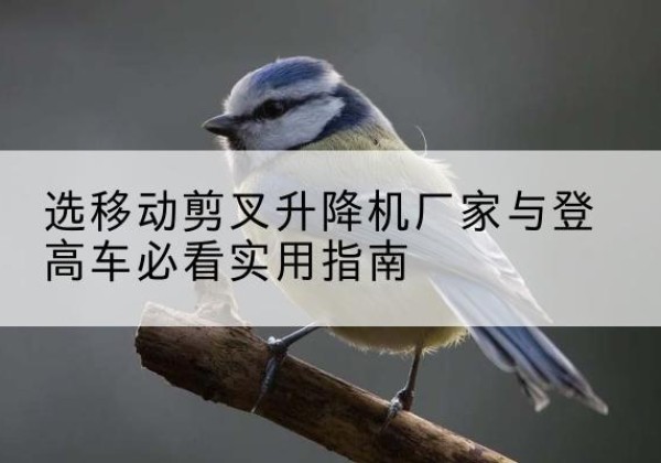 源城电动升降机厂家-选移动剪叉升降机厂家与登高车必看实用指南
